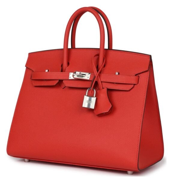 HERMÈS BIRKIN SELLIER 25 CAPUCINE EPSOM PALLADIUM HARDWARE - Image 3