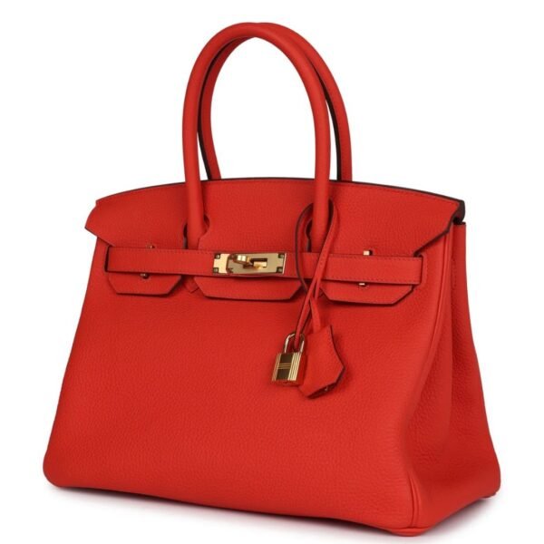 HERMÈS BIRKIN 30 CAPUCINE TOGO GOLD HARDWARE - Image 3