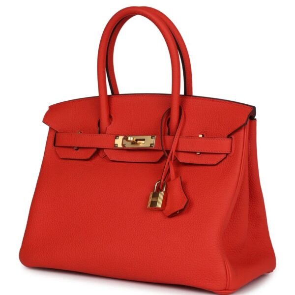 HERMÈS BIRKIN 30 CAPUCINE TOGO GOLD HARDWARE - Image 3