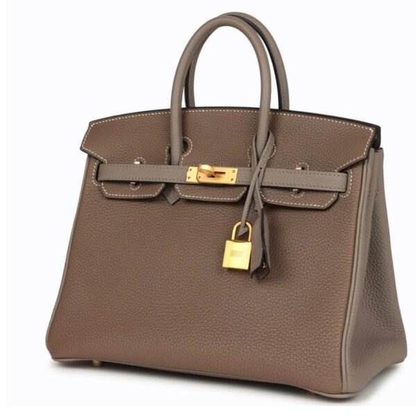 HERMÈS SPECIAL ORDER HSS BIRKIN 25 ETOUPE AND ETAIN TOGO BRUSHED GOLD HARDWARE - Image 3