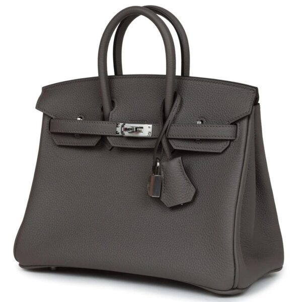 HERMÈS BIRKIN 25 ETAIN TOGO PALLADIUM HARDWARE - Image 3