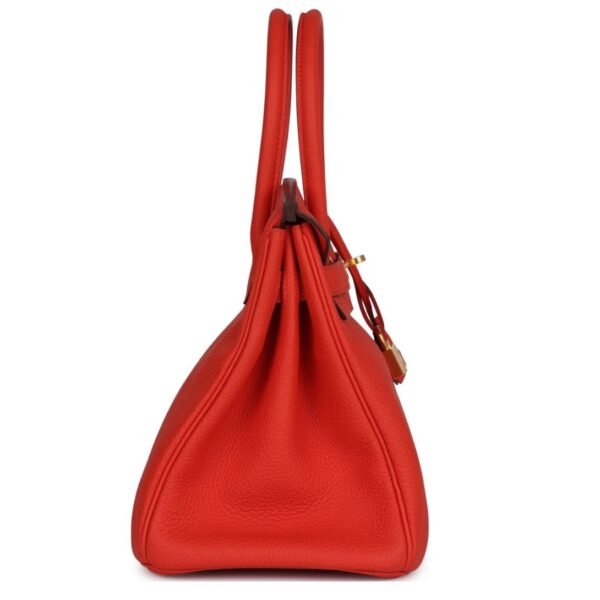 HERMÈS BIRKIN 30 CAPUCINE TOGO GOLD HARDWARE - Image 4
