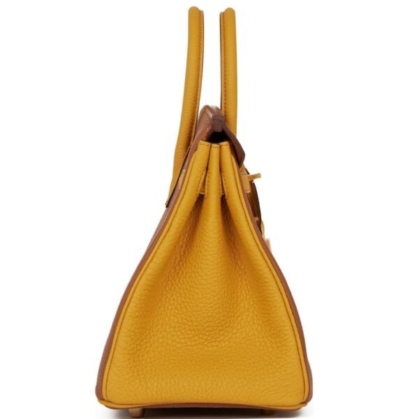 HERMÈS SPECIAL ORDER HSS BIRKIN 25 GOLD AND JAUNE AMBRE TOGO BRUSHED GOLD HARDWARE - Image 4