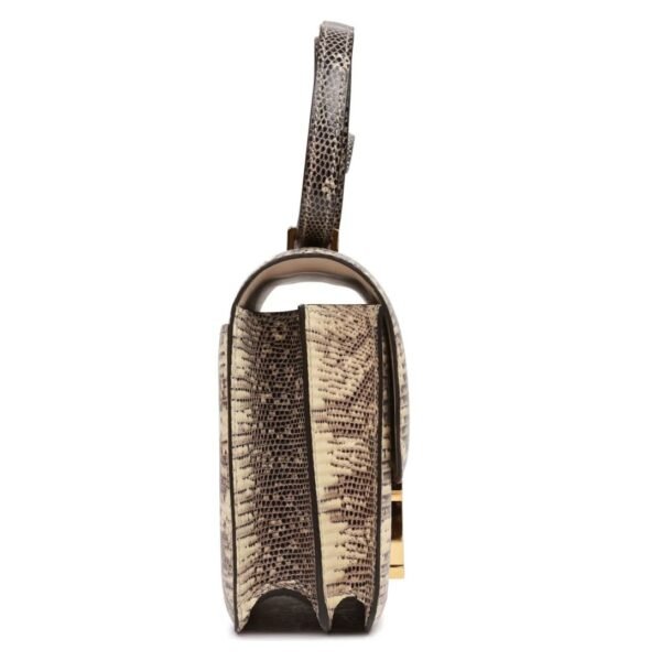 HERMÈS MINI CONSTANCE 18 OMBRE LIZARD VARANUS SALVATOR GOLD HARDWARE - Image 4