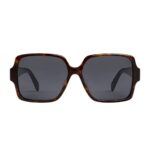 CELINE TRIOMPHE 16 SUNGLASSES IN ACETATE RED HAVANA