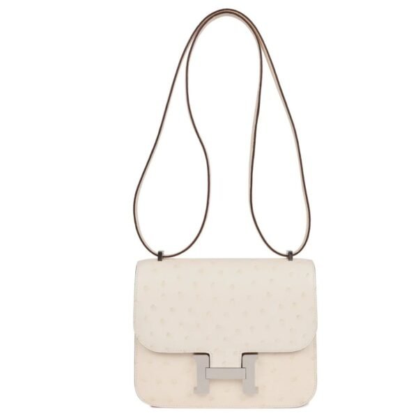 HERMÈS CONSTANCE 18 NATA OSTRICH PALLADIUM HARDWARE - Image 6
