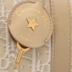 DIOR GROOVE 20 BAG