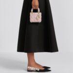 LADY DIOR MICRO BAG
