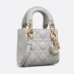 LADY DIOR MICRO BAG