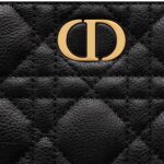 MEDIUM DIOR CARO DAILY POUCH