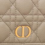 DIOR CARO POUCH WITH CHAIN