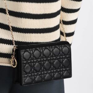 LADY DIOR POUCH