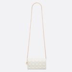 LADY DIOR POUCH