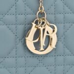 LADY DIOR POUCH