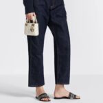 LADY DIOR MICRO BAG