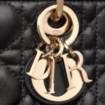 LADY D JOY MICRO BAG