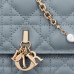 MY DIOR MINI BAG