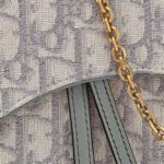 SMALL SADDLE POUCH WITH CHAIN