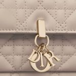 MY DIOR DAILY POUCH WITH CHAIN