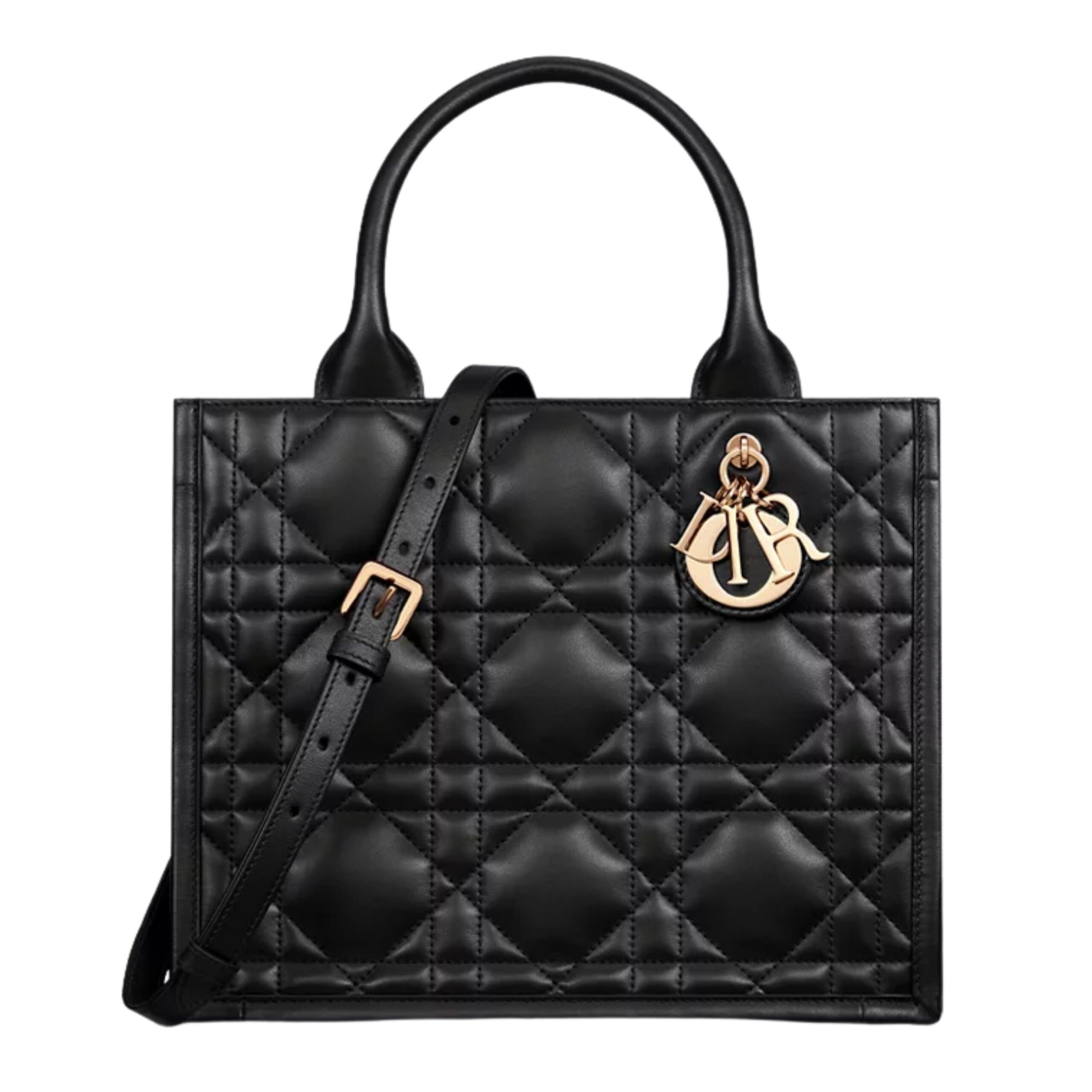 SMALL DIOR BOOK TOTE