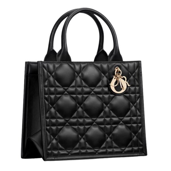 SMALL DIOR BOOK TOTE