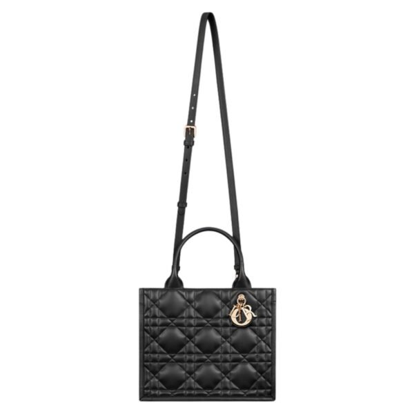 SMALL DIOR BOOK TOTE