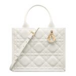 SMALL DIOR BOOK TOTE