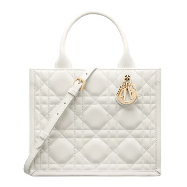 SMALL DIOR BOOK TOTE