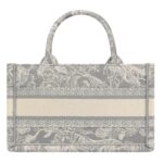 MINI DIOR BOOK TOTE