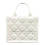 SMALL DIOR BOOK TOTE