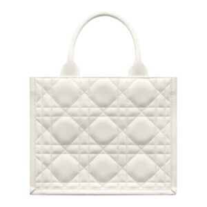 SMALL DIOR BOOK TOTE