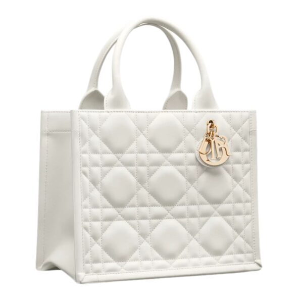 SMALL DIOR BOOK TOTE