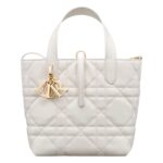 SMALL DIOR TOUJOURS VERTICAL TOTE BAG