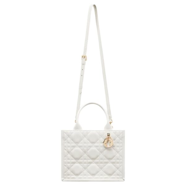 SMALL DIOR BOOK TOTE