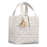 SMALL DIOR TOUJOURS VERTICAL TOTE BAG