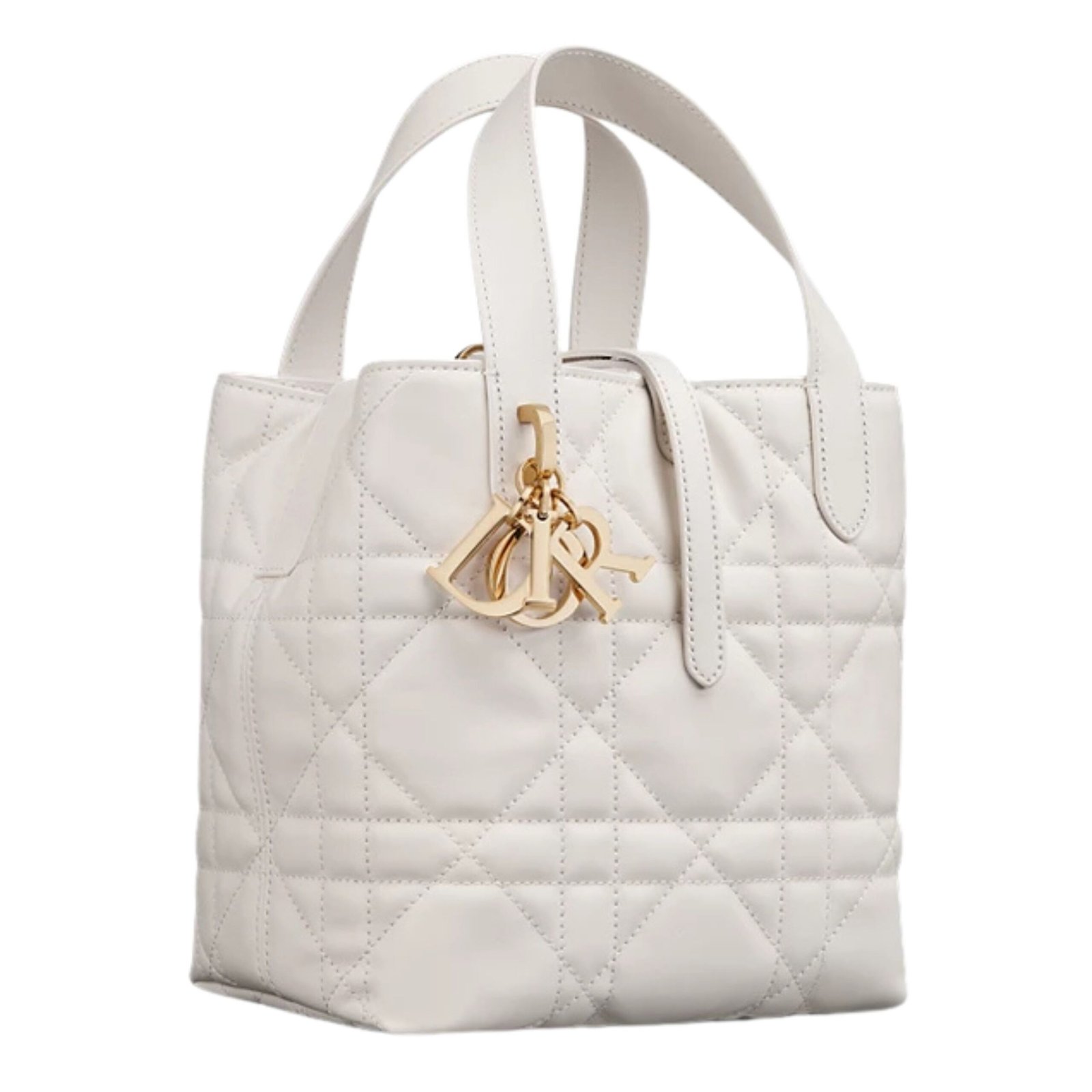 SMALL DIOR TOUJOURS VERTICAL TOTE BAG