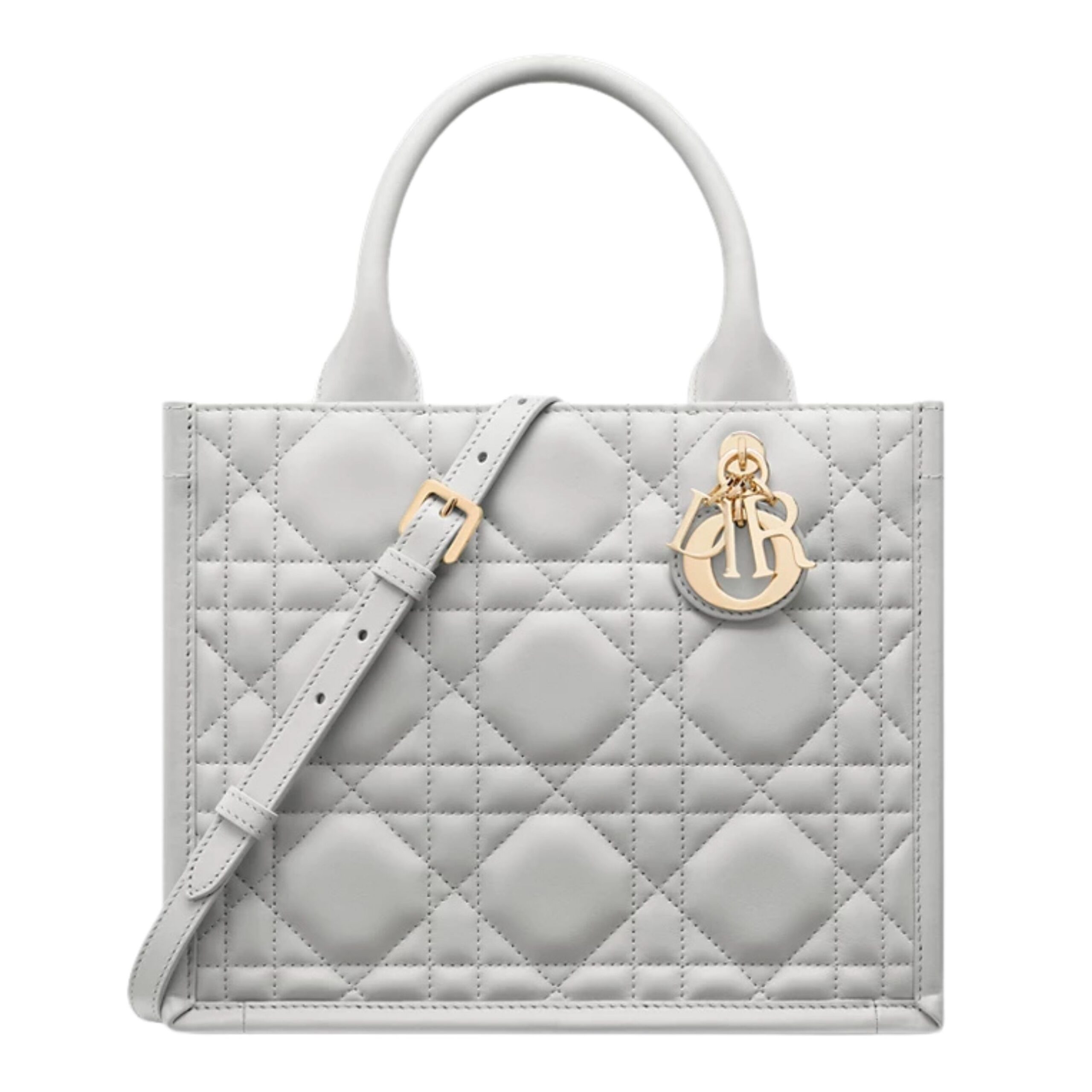 SMALL DIOR BOOK TOTE
