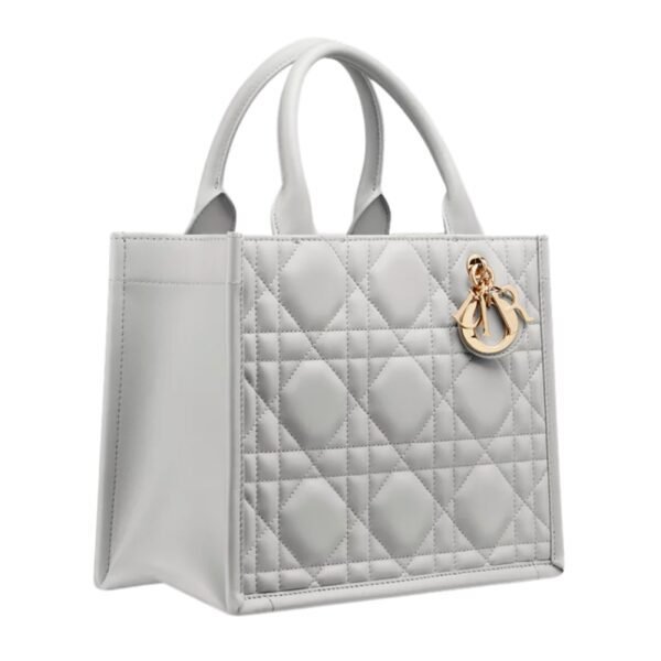 SMALL DIOR BOOK TOTE