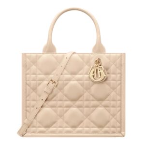 SMALL DIOR BOOK TOTE