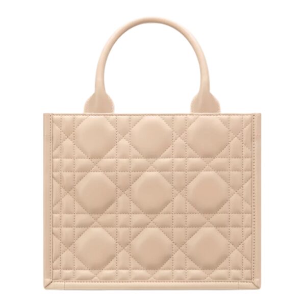 SMALL DIOR BOOK TOTE