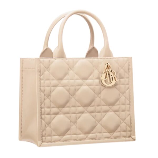 SMALL DIOR BOOK TOTE