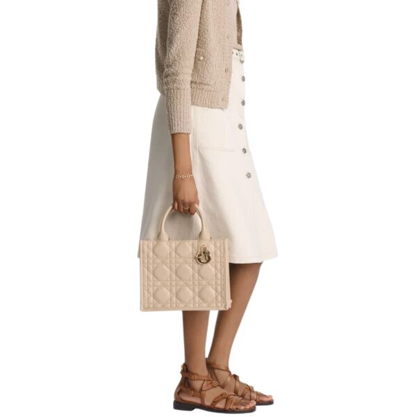 SMALL DIOR BOOK TOTE