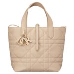 SMALL DIOR TOUJOURS VERTICAL TOTE BAG