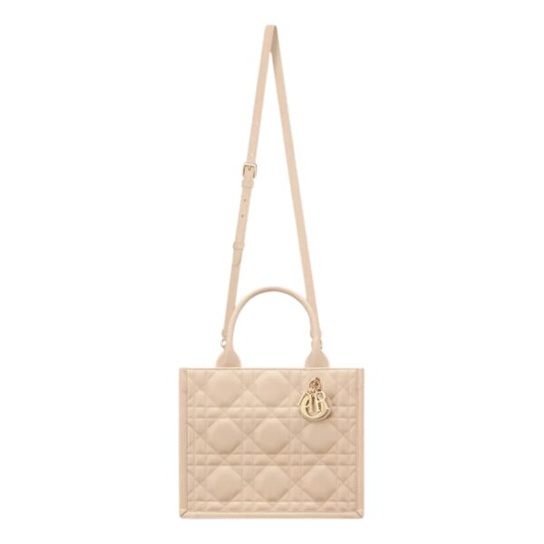 SMALL DIOR BOOK TOTE