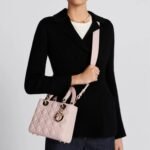 SMALL LADY DIOR MY ABCDIOR BAG