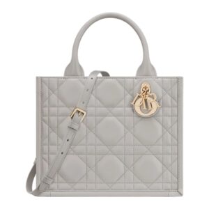 SMALL DIOR BOOK TOTE