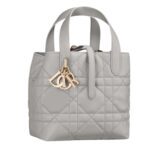 SMALL DIOR TOUJOURS VERTICAL TOTE BAG