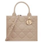 SMALL DIOR BOOK TOTE