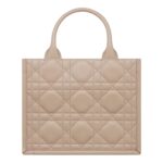 SMALL DIOR BOOK TOTE