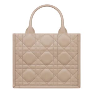 SMALL DIOR BOOK TOTE